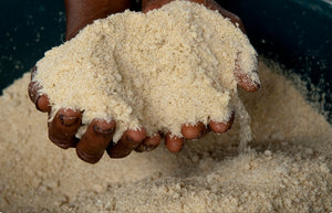Gari
